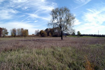 Coldwater Drive-In Theatre - The Lot Now (newer photo)